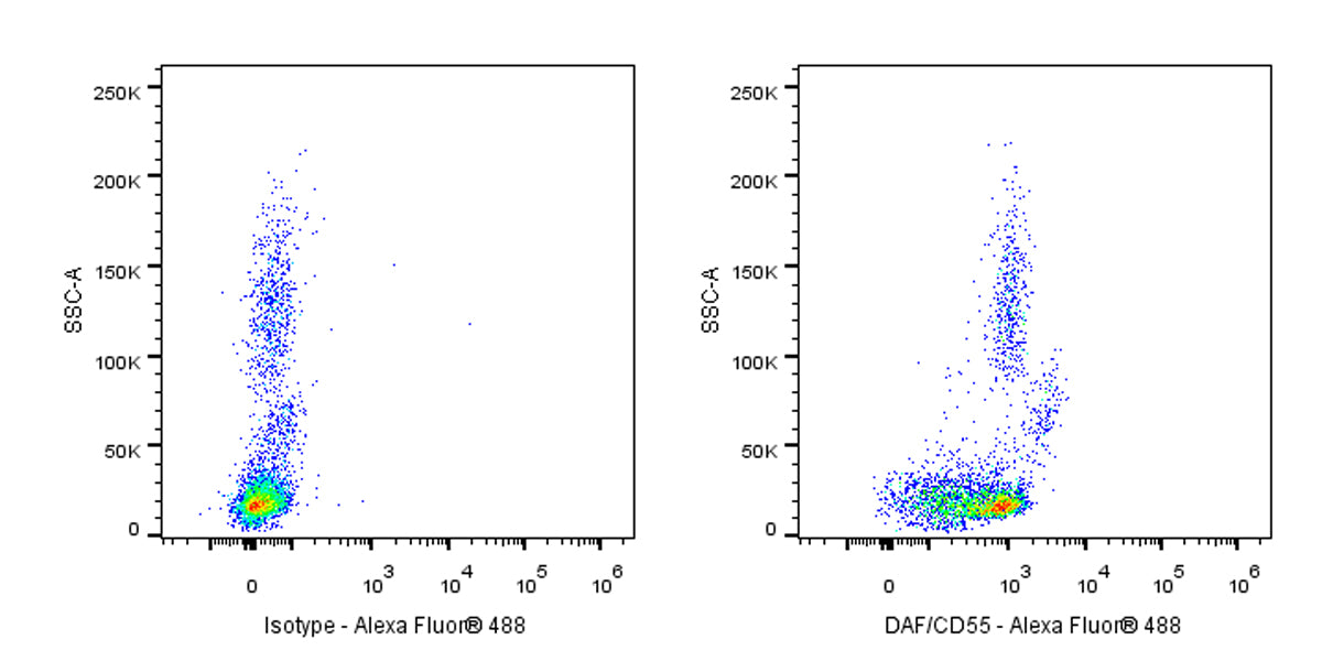 Alexa Fluor® 488 Mouse Anti-Human DAF/CD55 Antibody (S-628-48)