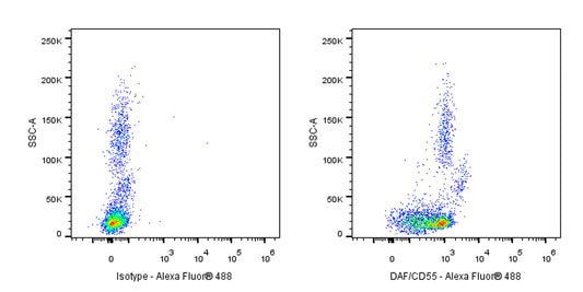 Alexa Fluor® 488 Mouse Anti-Human DAF/CD55 Antibody (S-628-48)