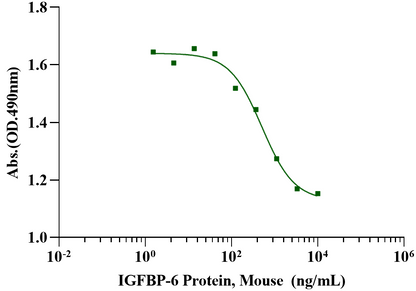 IGFBP-6 Protein, Mouse