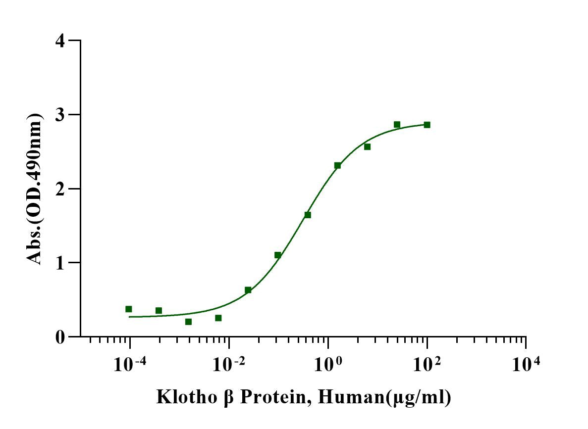 Klotho β Protein, Mouse