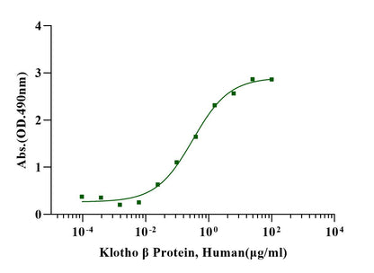 Klotho β Protein, Mouse