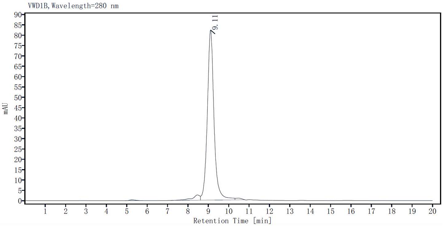 IL-13 Protein, Rat