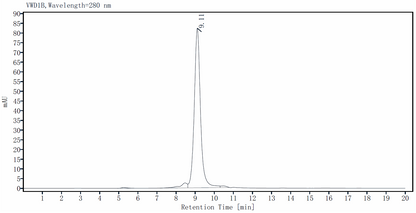 IL-13 Protein, Rat