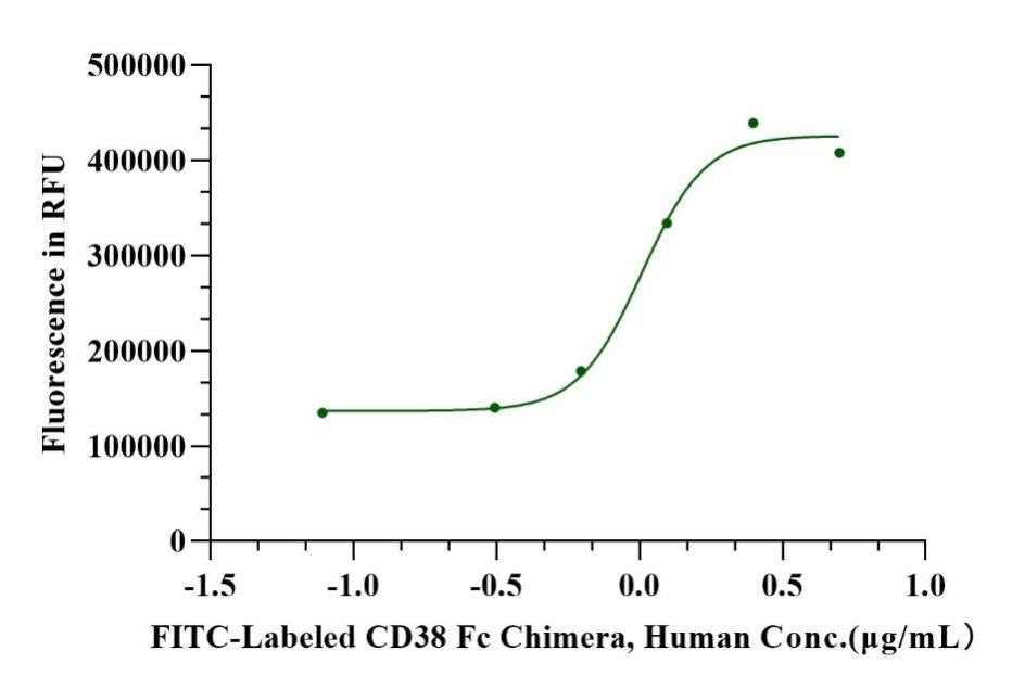 FITC-Labeled CD38 Fc Chimera Protein, Human