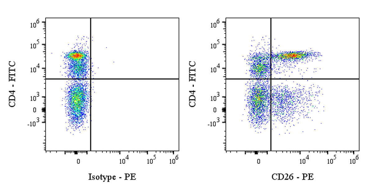 PE Mouse Anti-Human CD26 Antibody (M-A261)