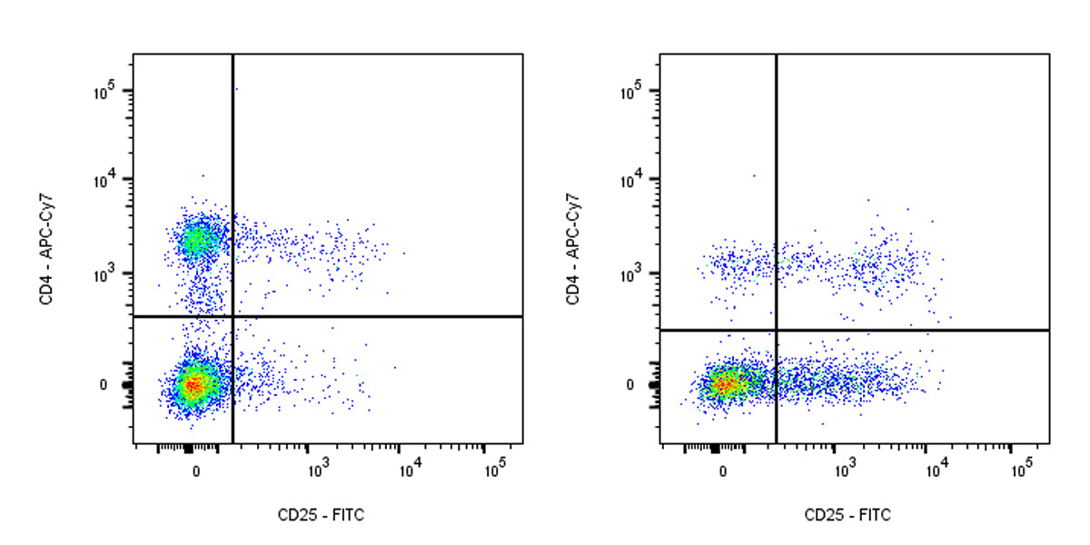 FITC Mouse Anti-Rat CD25 Antibody (OX-39)