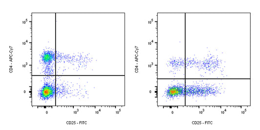 FITC Mouse Anti-Rat CD25 Antibody (OX-39)