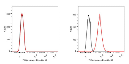 Rat Anti-Mouse CD44 Antibody (S-923-31)