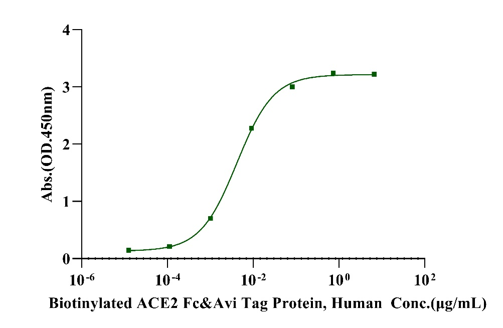 Biotinylated ACE2 Fc&Avi Tag Protein, Human