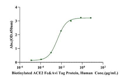 Biotinylated ACE2 Fc&Avi Tag Protein, Human