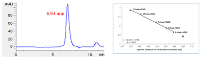 USP8 Protein
