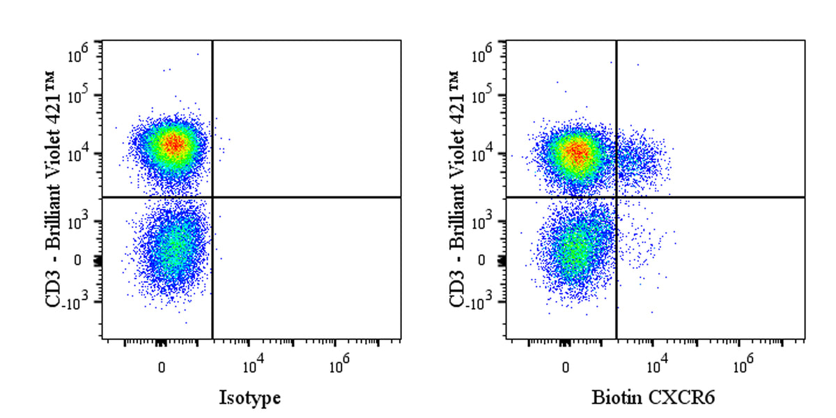 Biotin Mouse Anti-Human CD186 (CXCR6) Antibody (S-3884)
