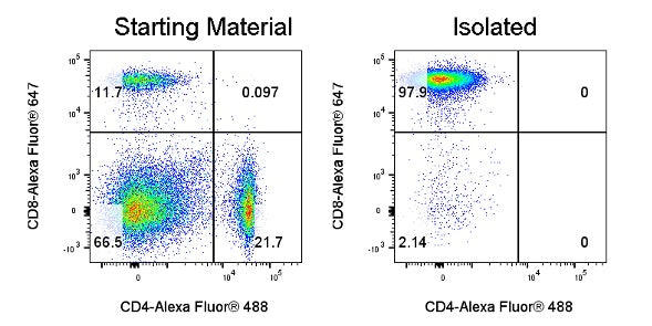 Mouse CD8 T Cell Isolation Kit (Column-Free)