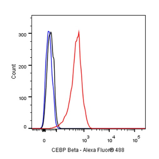 CEBP Beta (C-terminal) Recombinant Rabbit mAb (S-773-48)