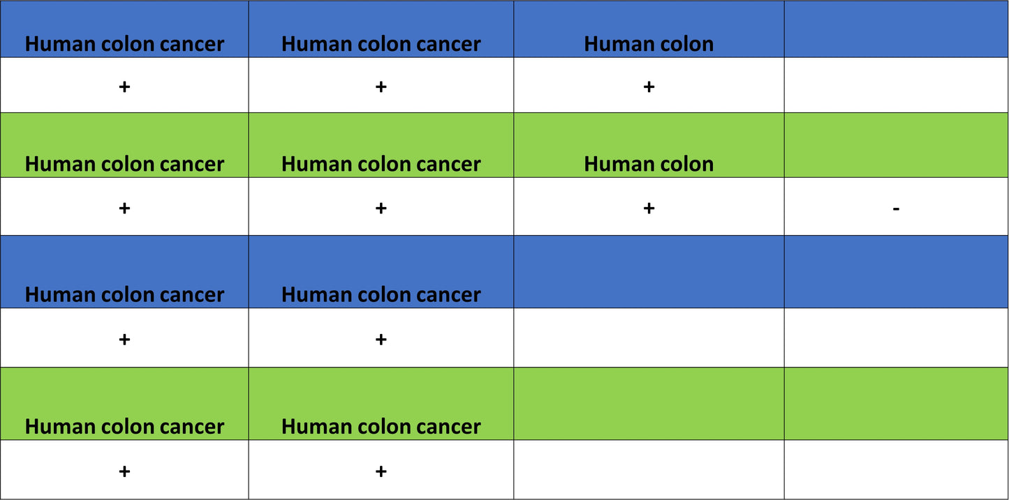CEA Recombinant Rabbit mAb (SDT-098-63)