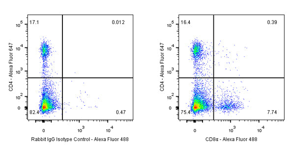 Rabbit mAb IgG Isotype Control (SDT-R173)