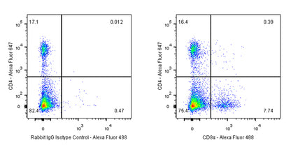 Rabbit mAb IgG Isotype Control (SDT-R173)