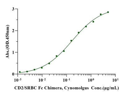 CD2/SRBC Fc Chimera Protein, Cynomolgus