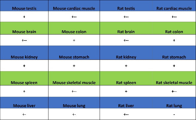 Phospho-Rb (Ser807/811) Recombinant Rabbit mAb (S-2215-52)