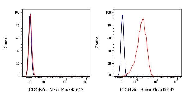 Alexa Fluor® 647 Rabbit Anti-Human CD44v6 Antibody (S-944-13)