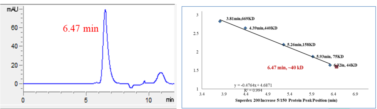 ERK3 (L290V) Protein, Human