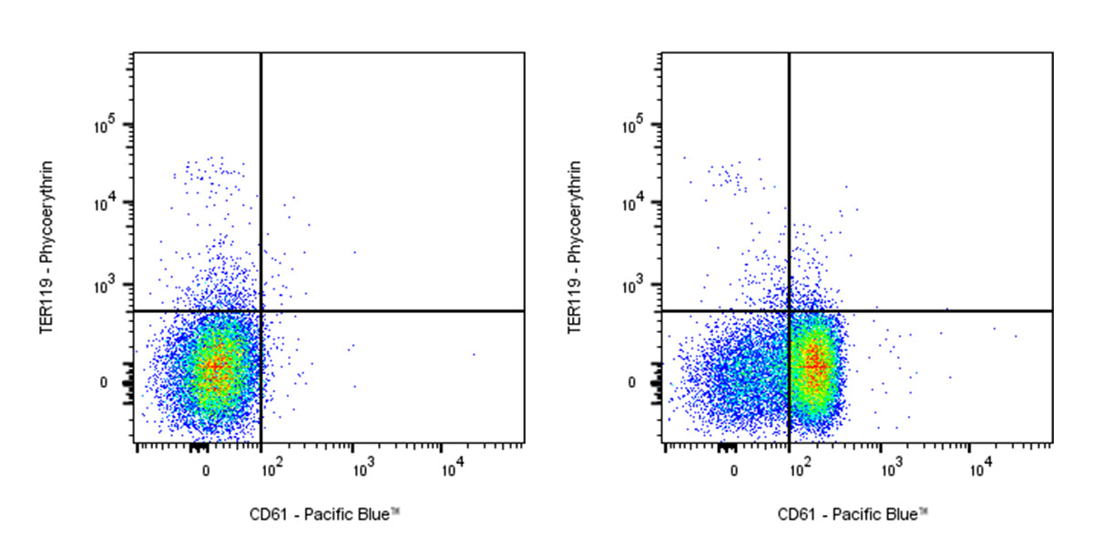 Pacific Blue Armenian hamster Anti-Mouse/Rat CD61 Antibody (2C9.G2)