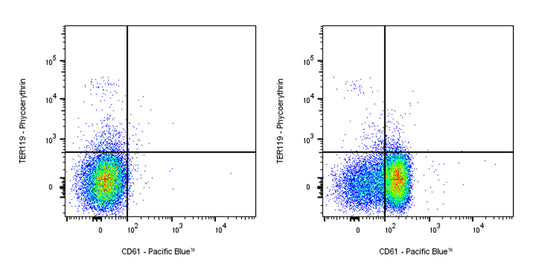 Pacific Blue Armenian hamster Anti-Mouse/Rat CD61 Antibody (2C9.G2)