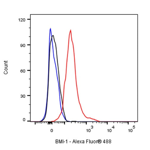 BMI-1 Recombinant Rabbit mAb (S-1075-252)