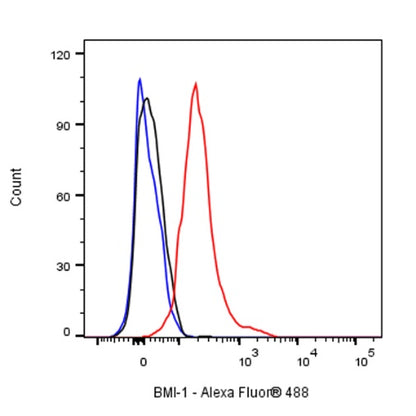 BMI-1 Recombinant Rabbit mAb (S-1075-252)