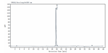 Leptin Protein, Human
