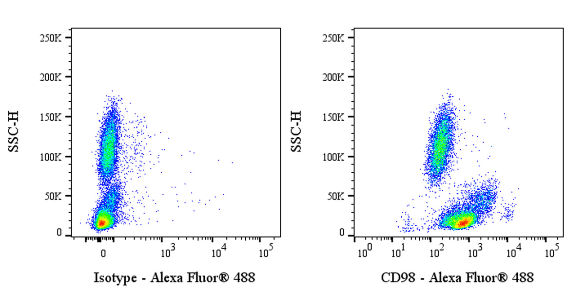 Mouse Anti-Human CD98 Antibody (S-5622)