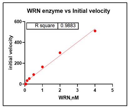 WRN (500-946) Protein,Human
