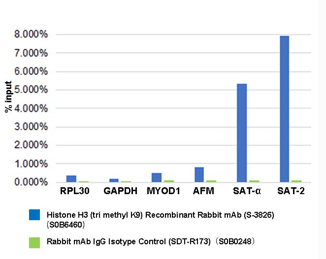 Histone H3 (tri methyl K9) Recombinant Rabbit mAb (S-3826)