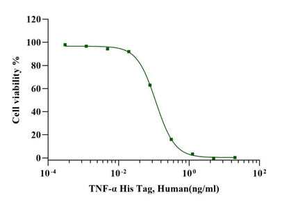 TNF-α Protein, Human