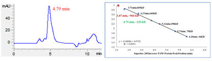 CSNK1G1(CK1γ1) GST Tag Protein, Human