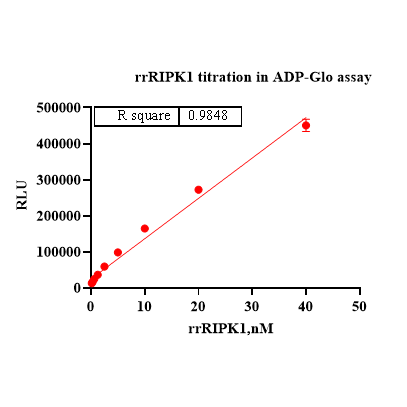 Product image media