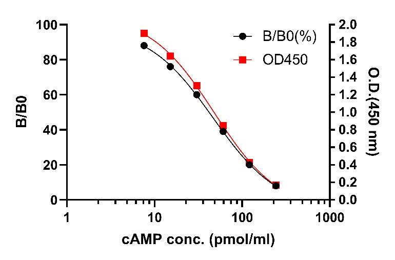 cAMP OneStep competitive ELISA Kit