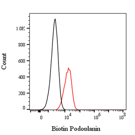 Biotin Syrian Hamster Anti-Mouse Podoplanin Antibody (8.1.1)
