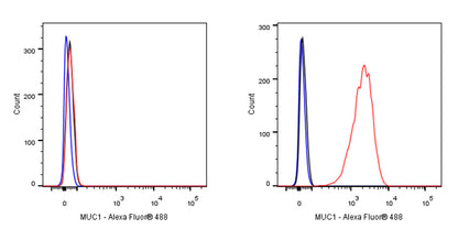 MUC1/EMA Mouse mAb (SDT-777-37)
