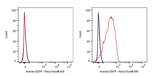 Mouse Anti-Human EGFR Antibody (S-2798)