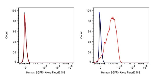 Mouse Anti-Human EGFR Antibody (S-2798)