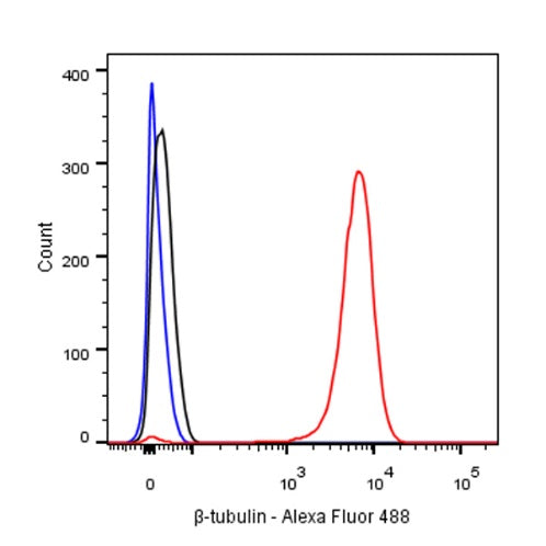 β-tubulin Recombinant Rabbit mAb (Alexa Fluor® 488 Conjugate) (S-312-113)