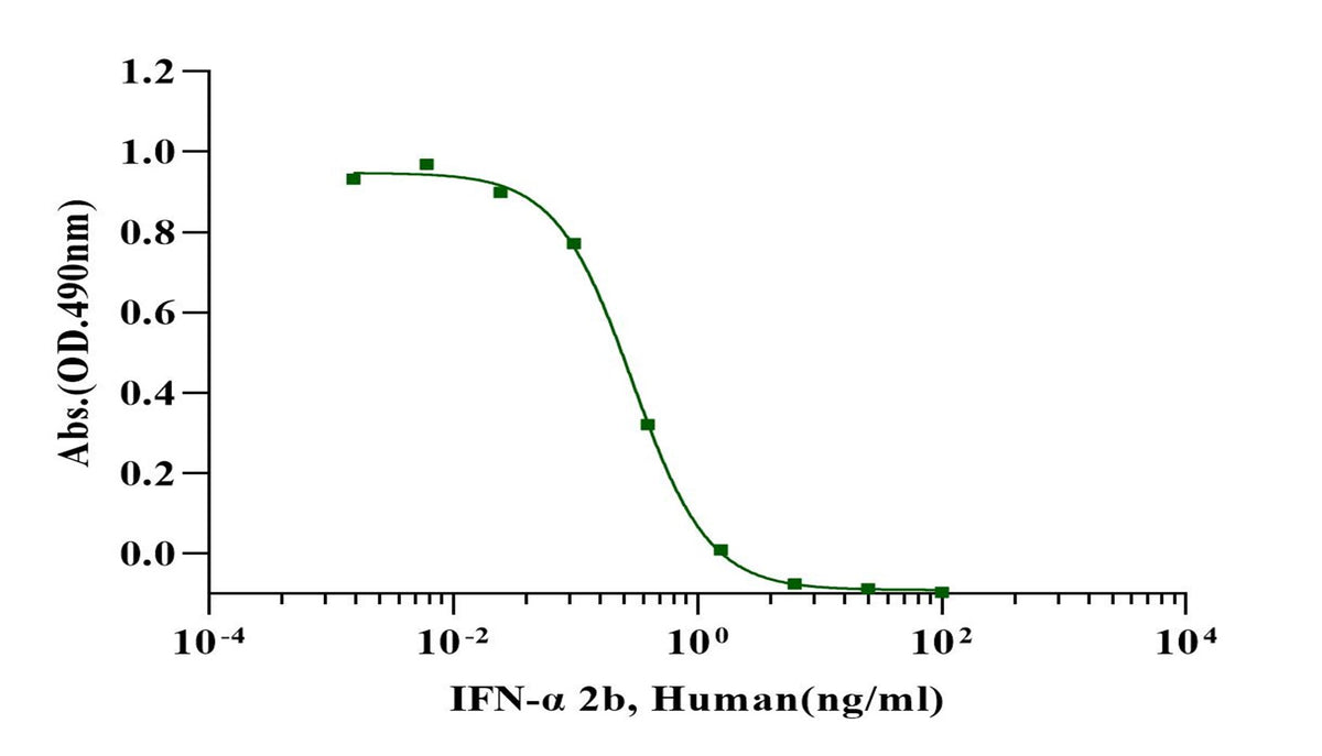 IFN-α 2b Protein, Human