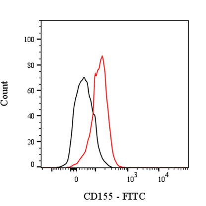 FITC Rat Anti-Mouse CD155 Antibody (TX56)