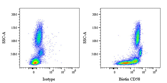 Biotin Mouse Anti-Human CD58 Antibody (S-6058)