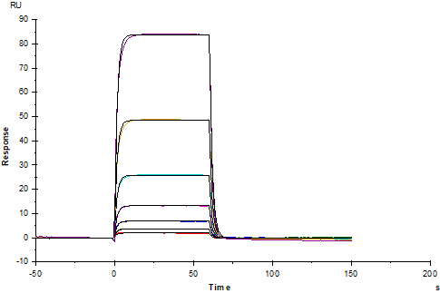 Nectin-1/PVRL1/CD111 Fc Chimera Protein, Human