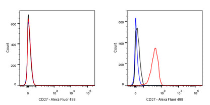 CD27 Mouse mAb (S-568-1)