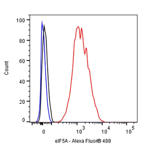 eIF5A Rabbit Polyclonal Antibody