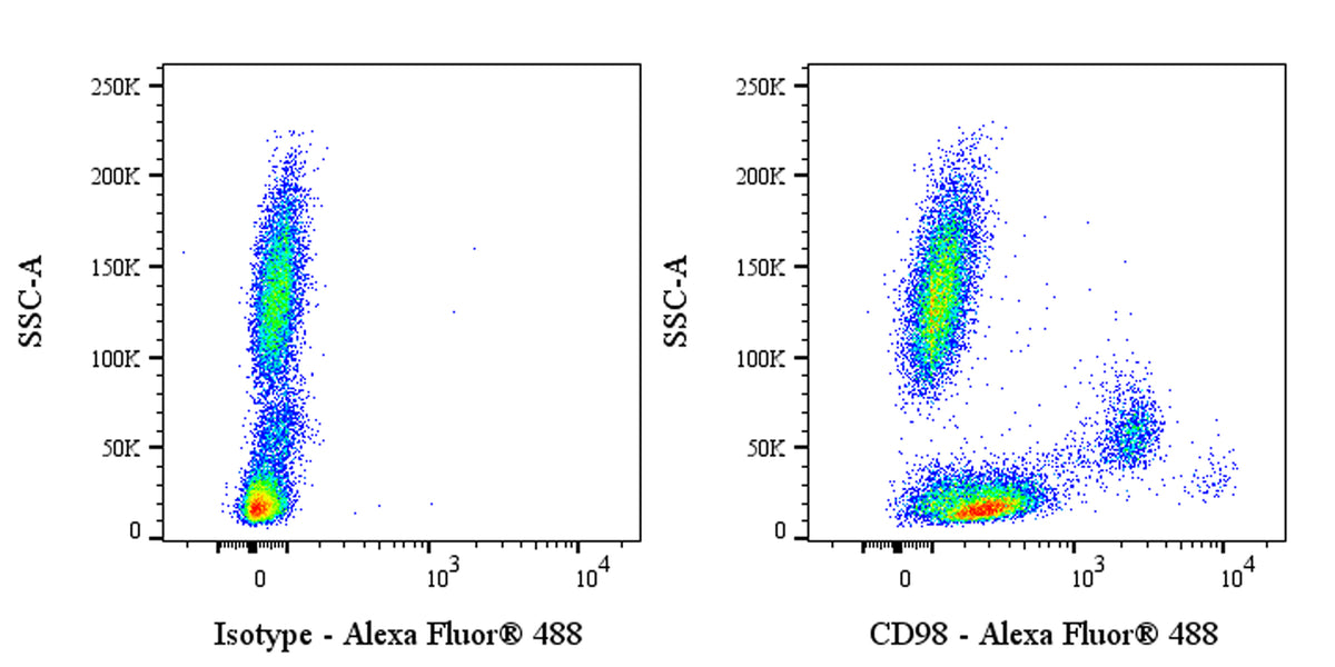 Alexa Fluor® 488 Mouse Anti-Human CD98 Antibody (S-5622)