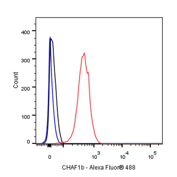 CHAF1b Recombinant Rabbit mAb (S-R316)